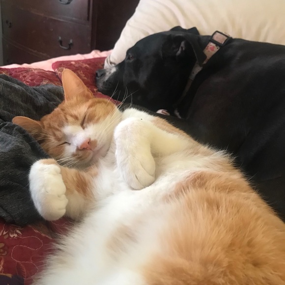 Meet your Posher, Rebecca - Picture 7 of 16